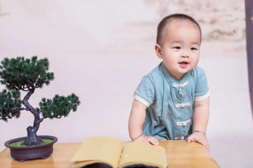 安吉可爱的企鹅宝宝